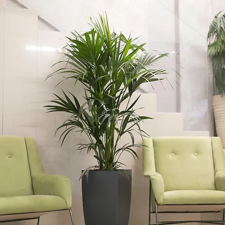 Plaza Hotel, Philian And