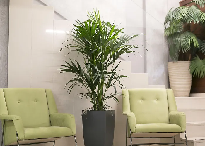 Plaza Hotel, Philian And